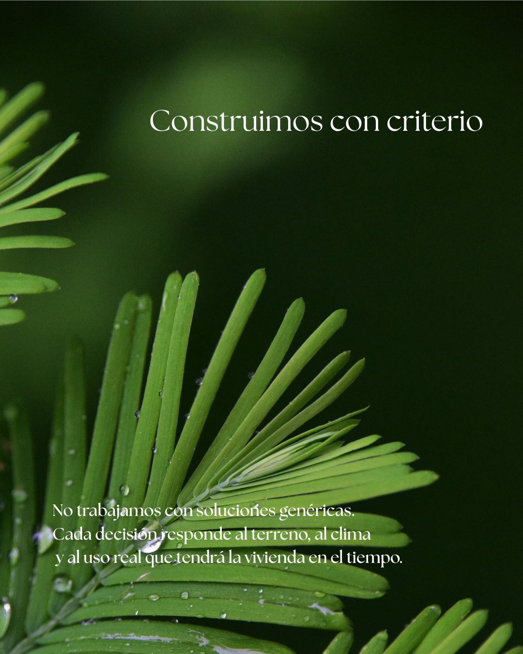 slider image slider_item_Mbk7xp