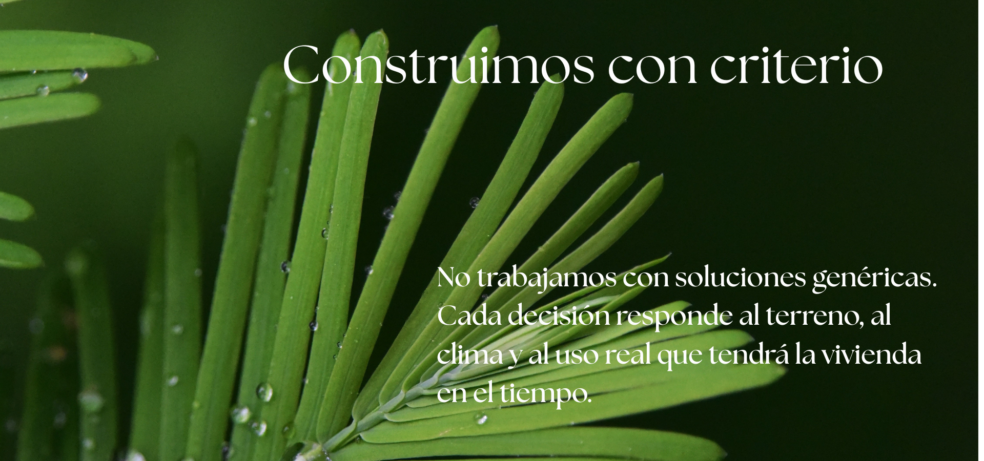 slider image slider_item_Mbk7xp